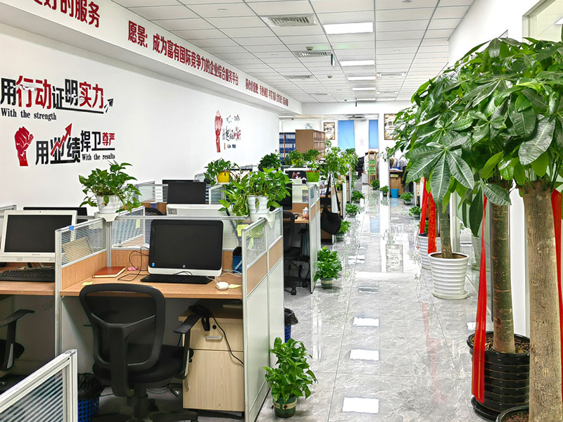 公司团队